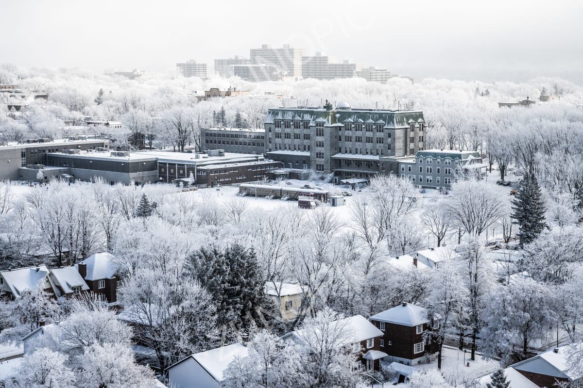 Snow-covered city neighbourhood in winter fog