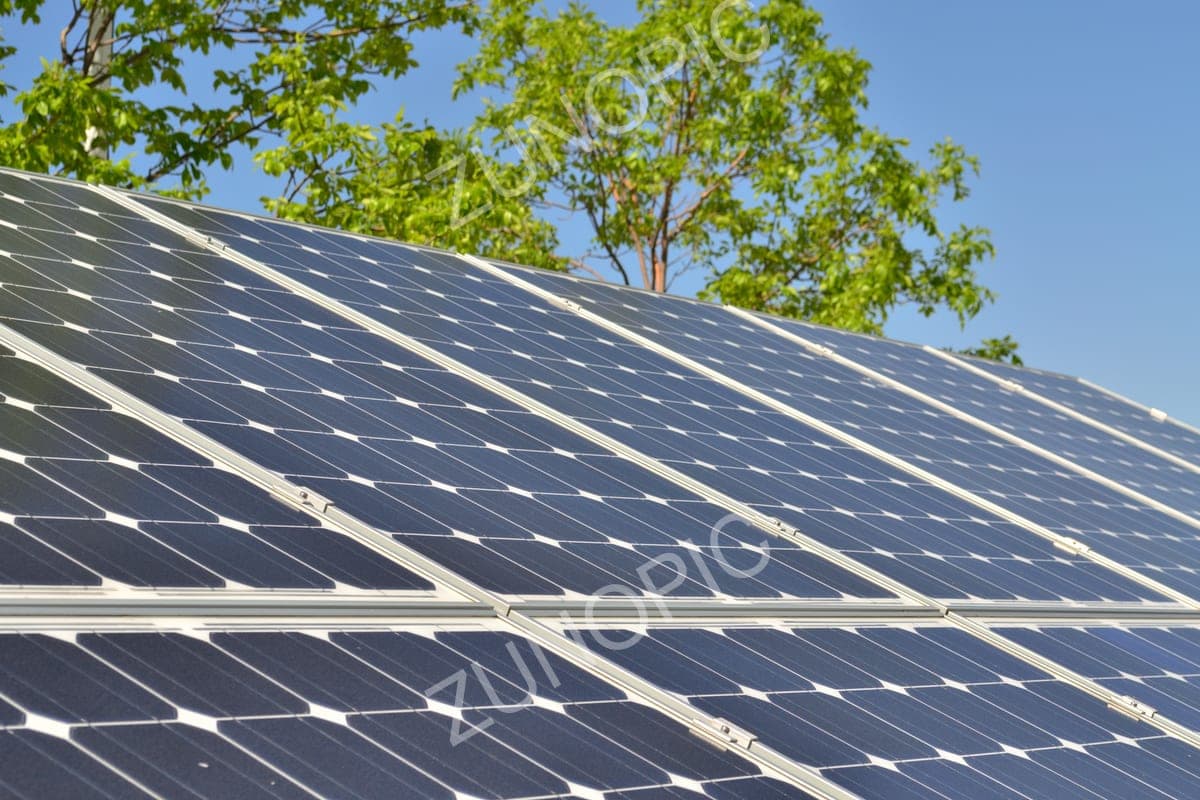 Solar panels under a blue sky and green trees