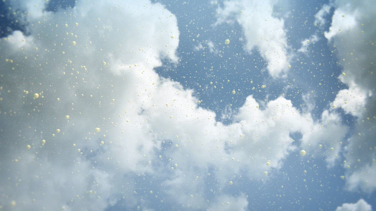 Tiny particles drifting over bright white clouds