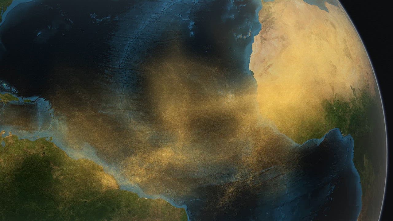 Plumes of Saharan dust sweeping across the Atlantic